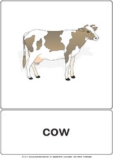 Bildkarte - cow.pdf